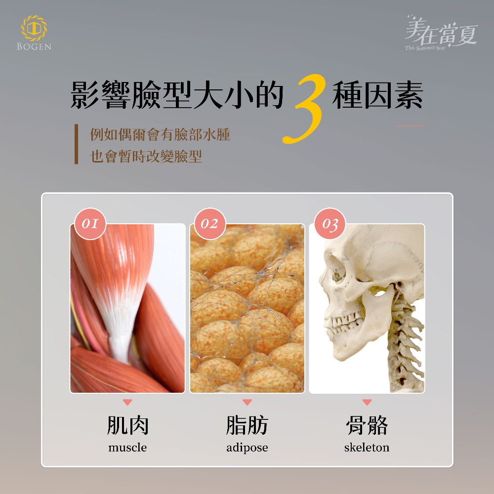 國字臉3因素,國字臉,咀嚼肌,咬肌,博恩妍