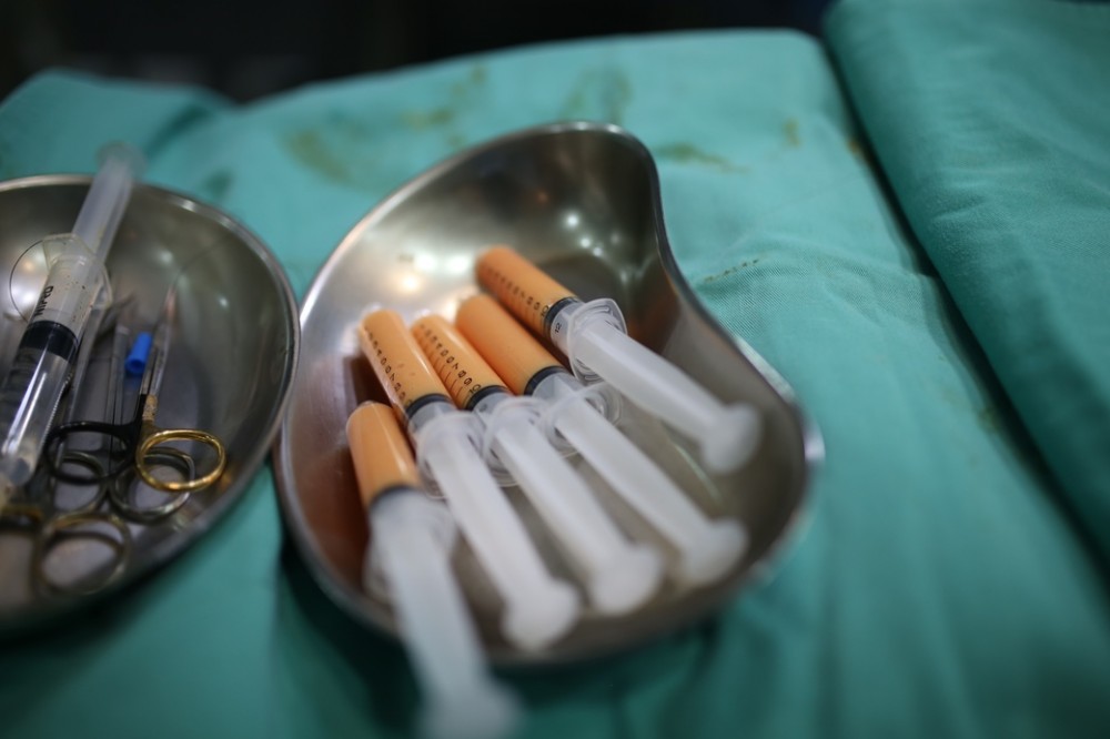 自體脂肪補臉,博恩妍
