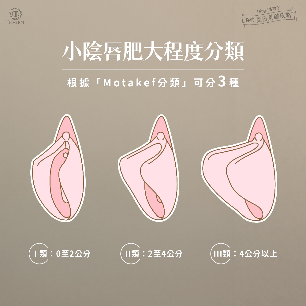 陰唇肥大程度分類,陰唇肥大,博恩妍