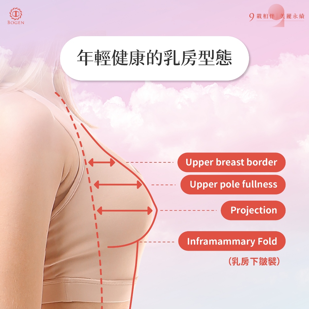 年輕健康的乳房型態,提乳手術,博恩妍