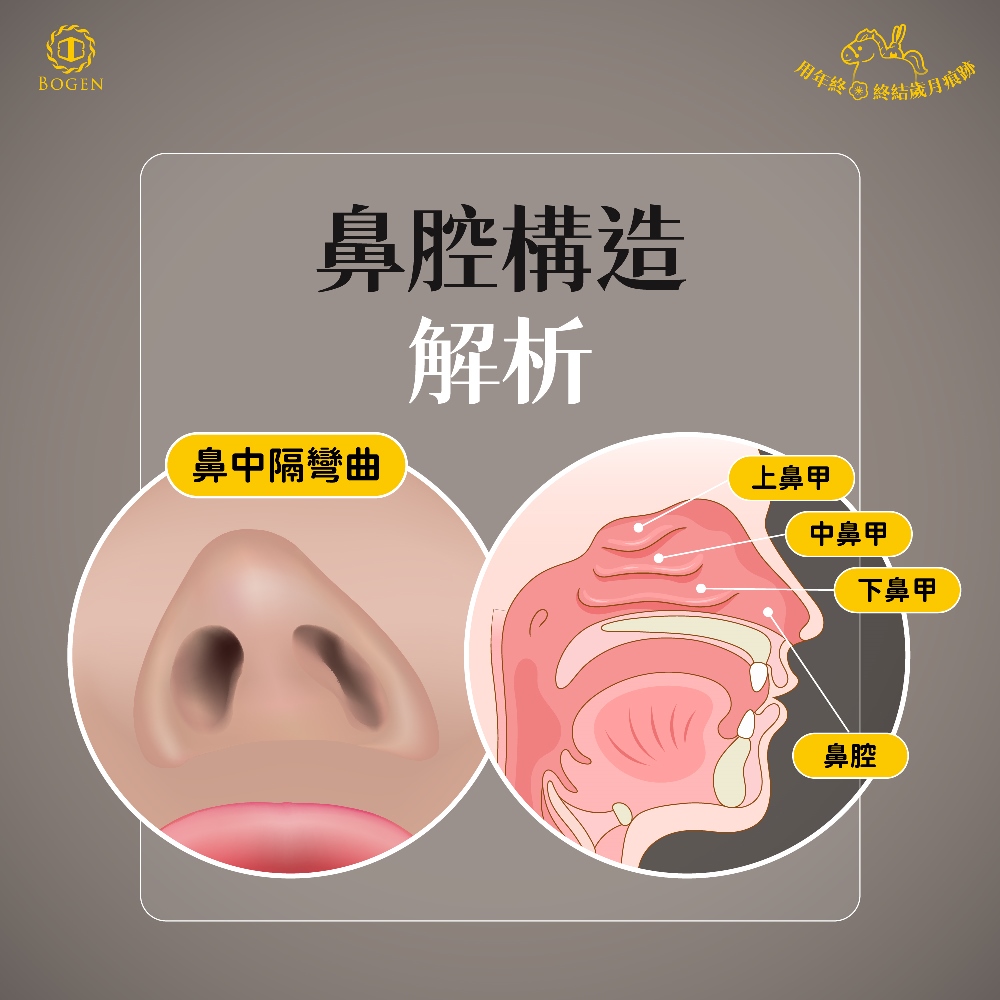 鼻腔構造解析,博恩妍