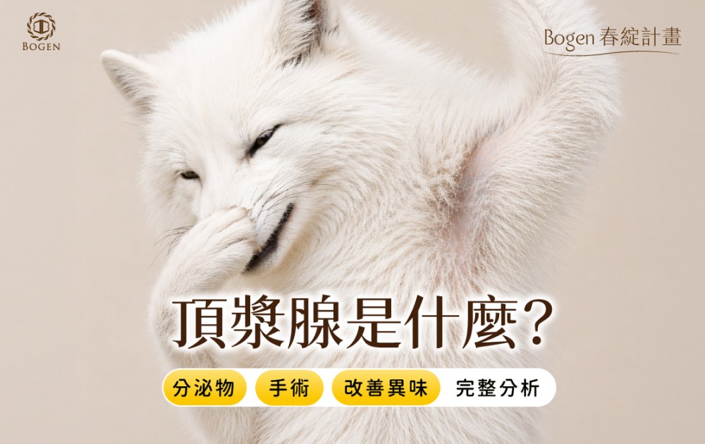 頂漿腺是什麼？分泌物、手術與改善異味完整分析,博恩妍