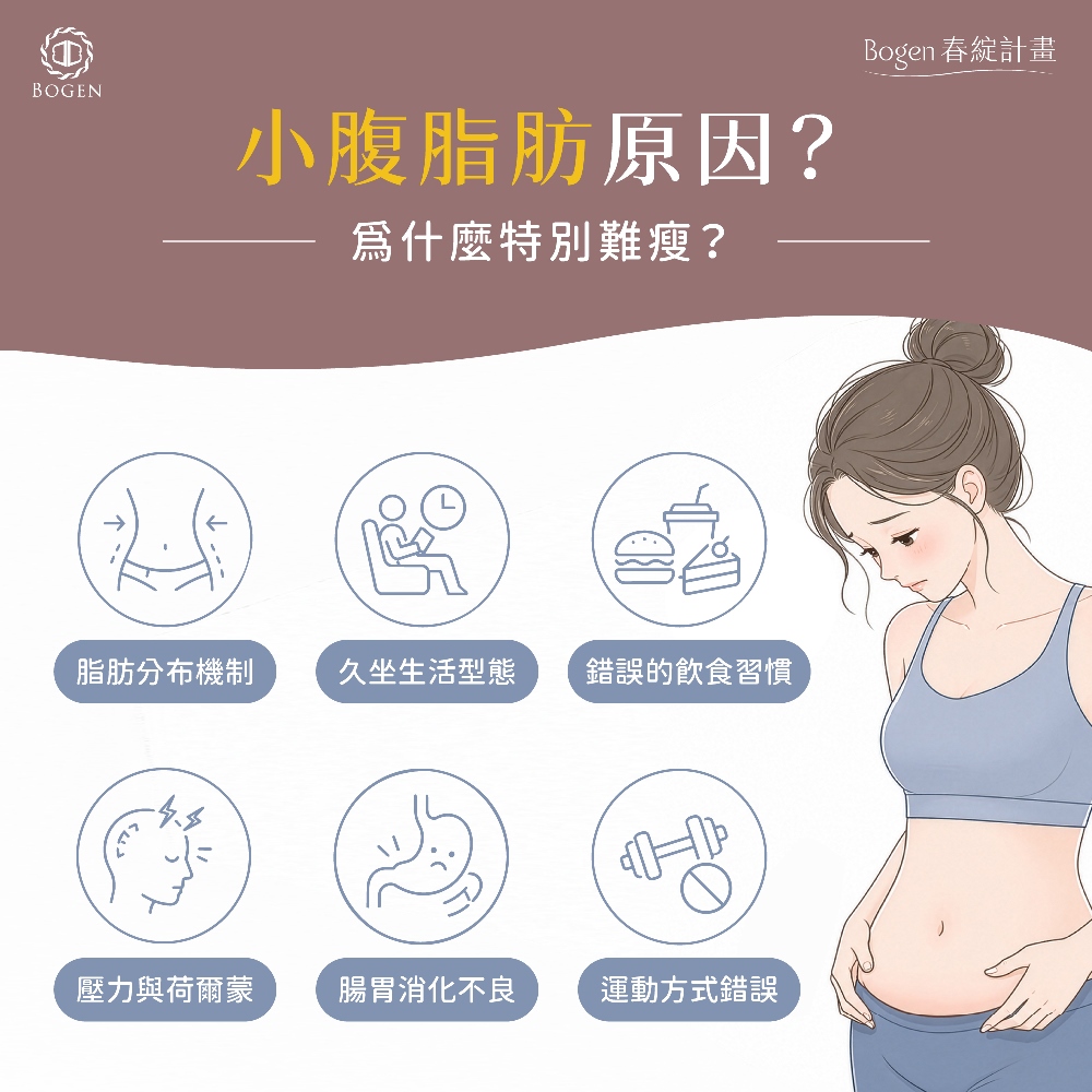 小腹脂肪原因,小腹,博恩妍
