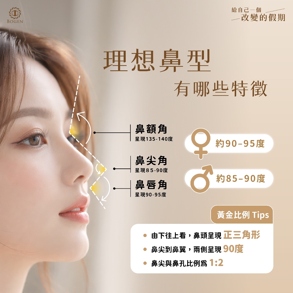 理想鼻型,鼻型黃金比例,博恩妍