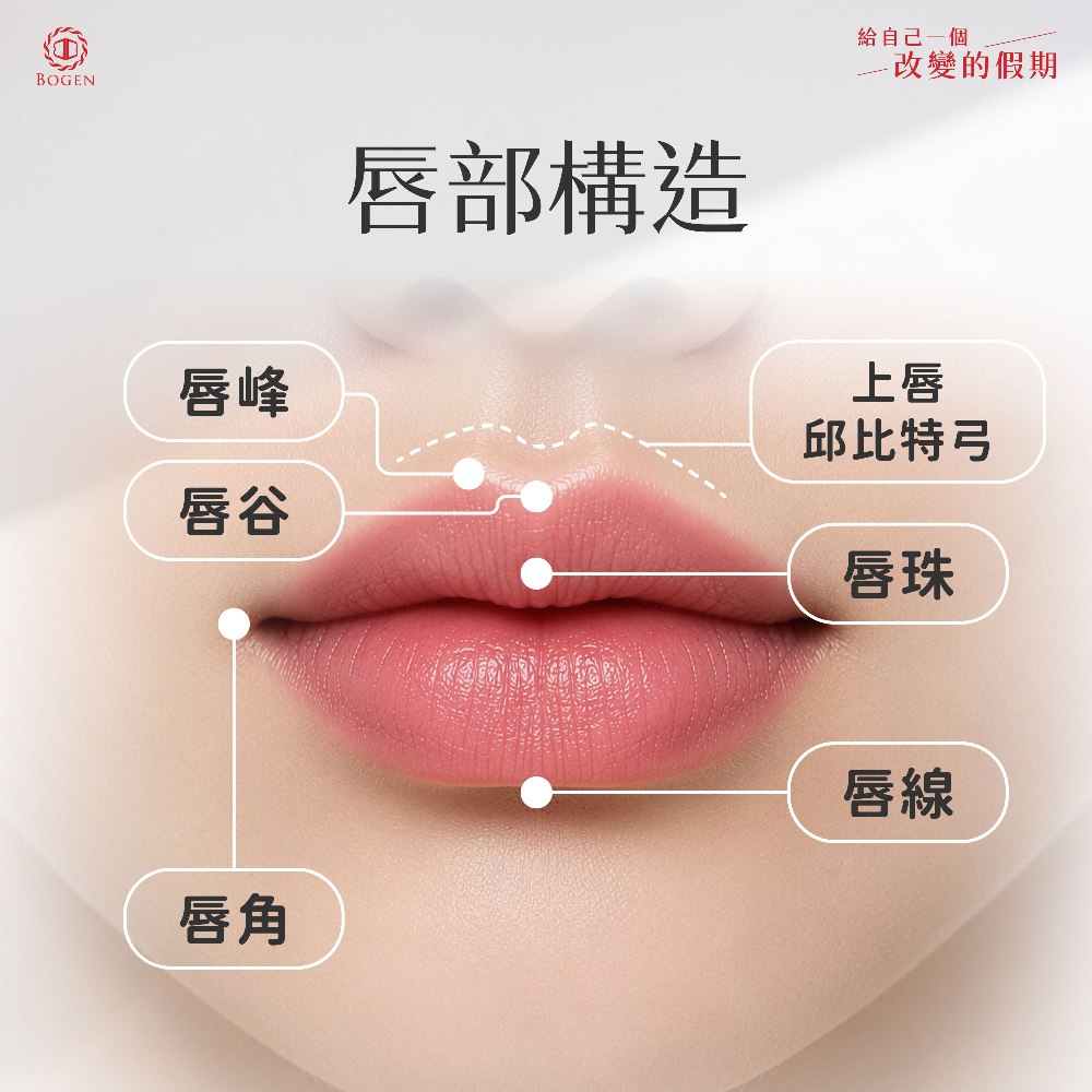 唇部構造,嘟嘟唇構造,博恩妍
