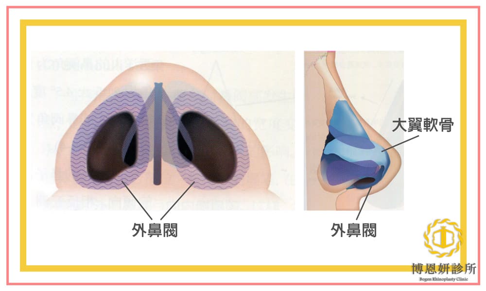 外鼻閥鼻部構造解析,張簡醫師